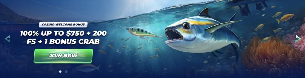 Bassbet Casino Banner