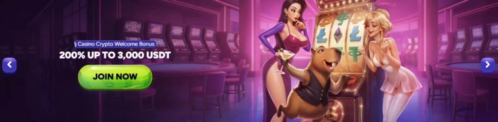 Spinbara Casino Crypto Welcome Bonus.png