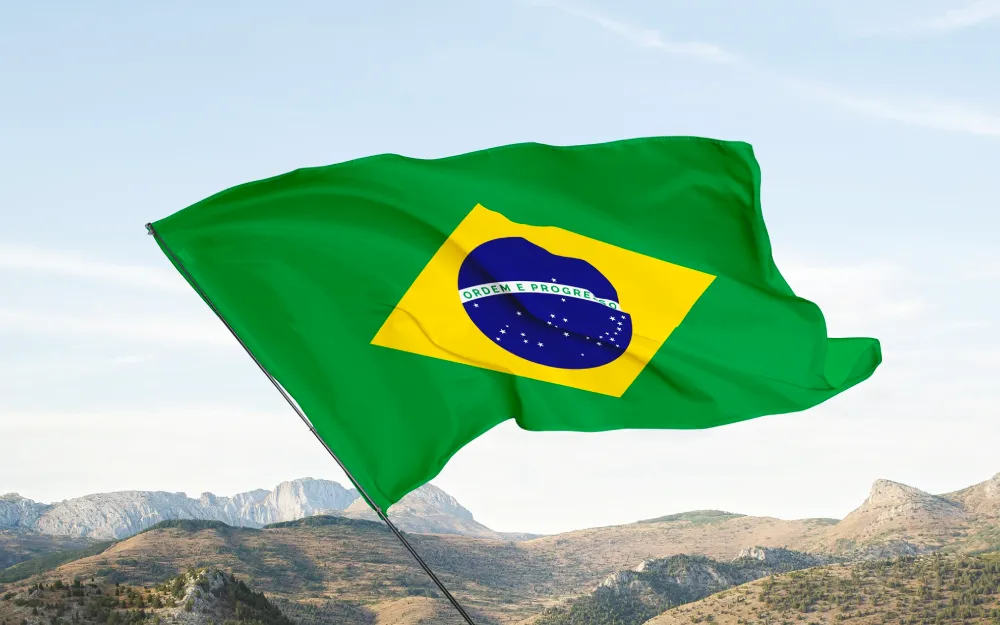 Brazilian Flag