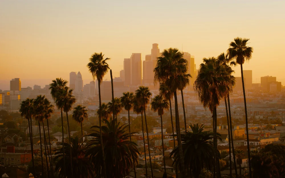 New California card room regulations for blackjack, player-dealers approved by state