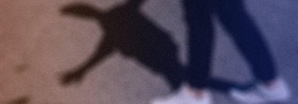 Shadow Balance