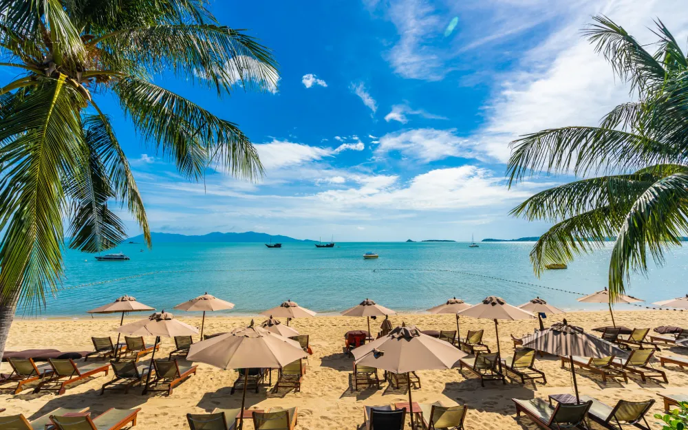 Mauritius Suspends Bet 593 Operations After AML Probe