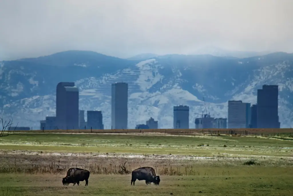 Colorado Approves Bill to Restrict Sportsbook Promotions and Gambling Alerts