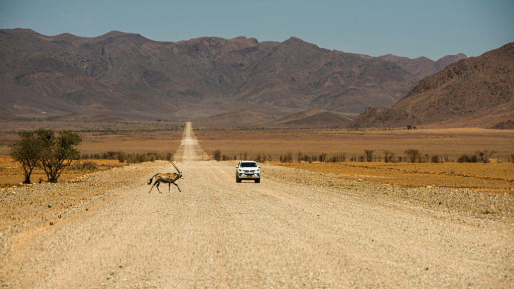 Sunbet Expands Into Namibia as African Growth Push Accelerates