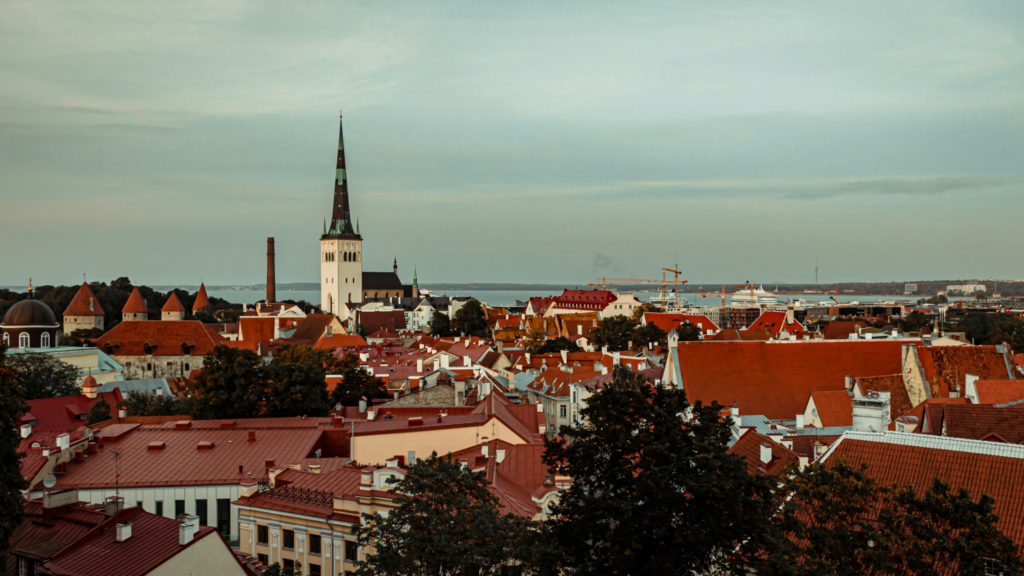 Estonia Faces Questions Over Impact of Reduced Online Gambling Tax